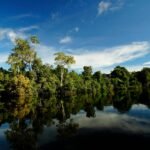 ríos arboles y cielo azul