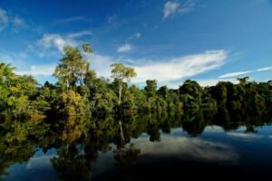 ríos arboles y cielo azul