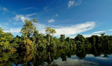 ríos arboles y cielo azul